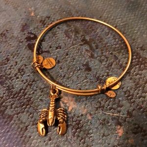 Alex and Ani Bangle